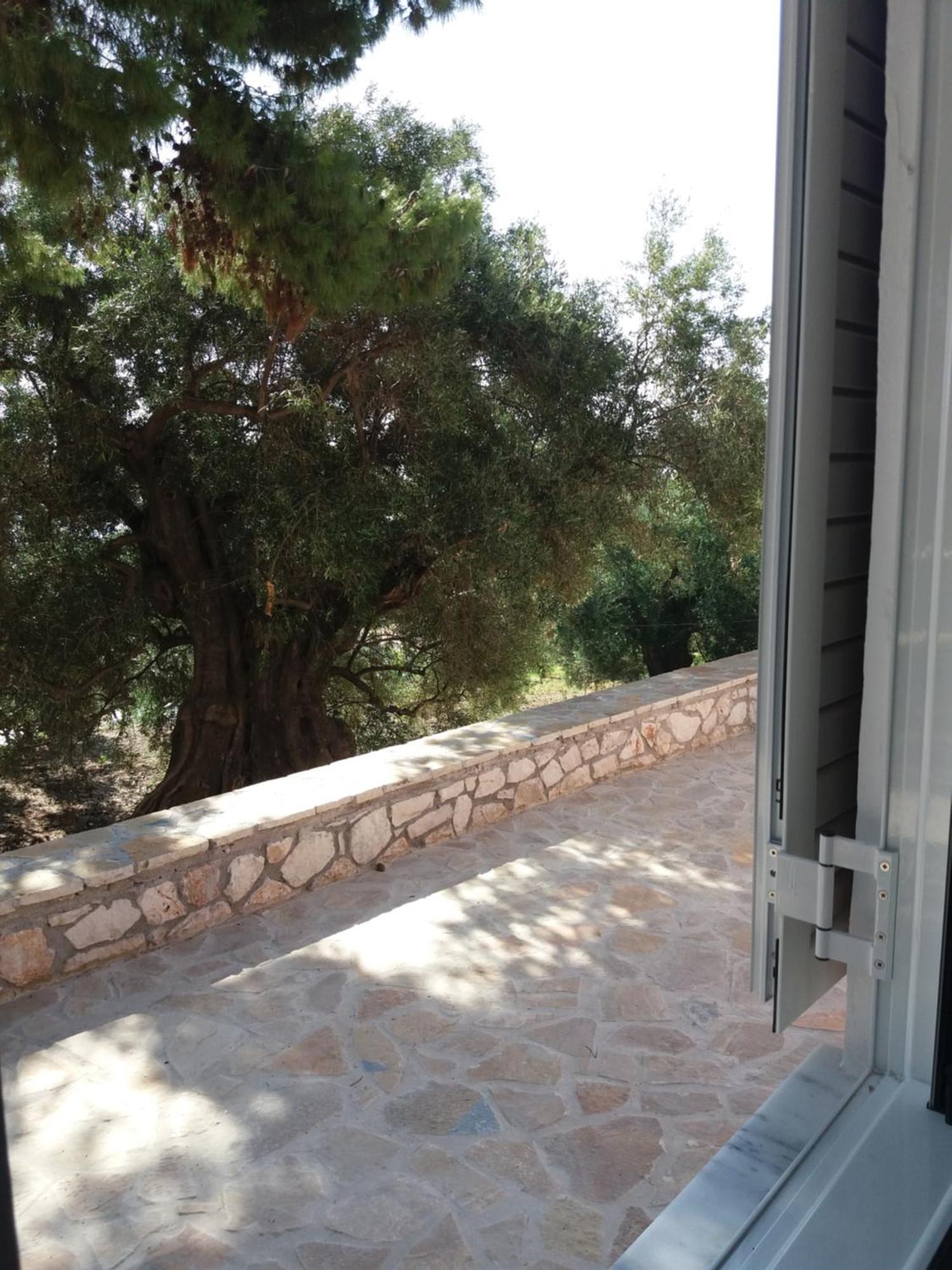 Belvedere Zakynthos Studios Vasilikí Habitación foto